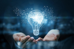 Các dịch vụ của Invenmark